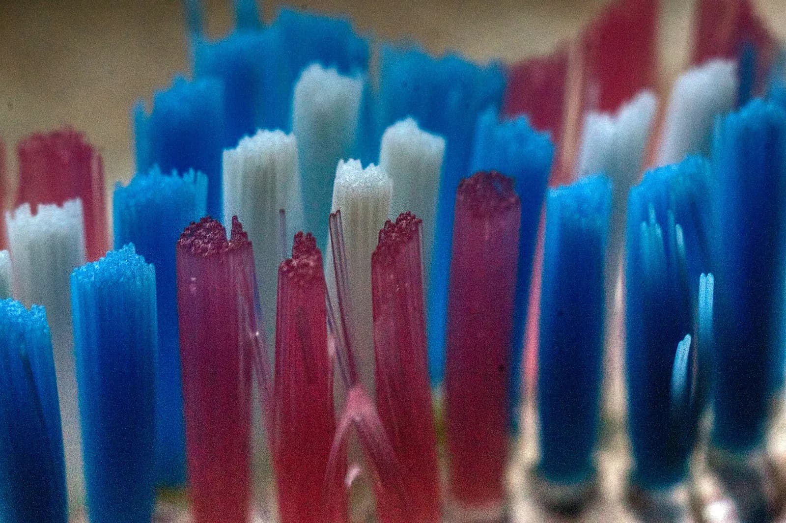 Gros plan sur des poils de brosses à dents bleus, blancs et roses
