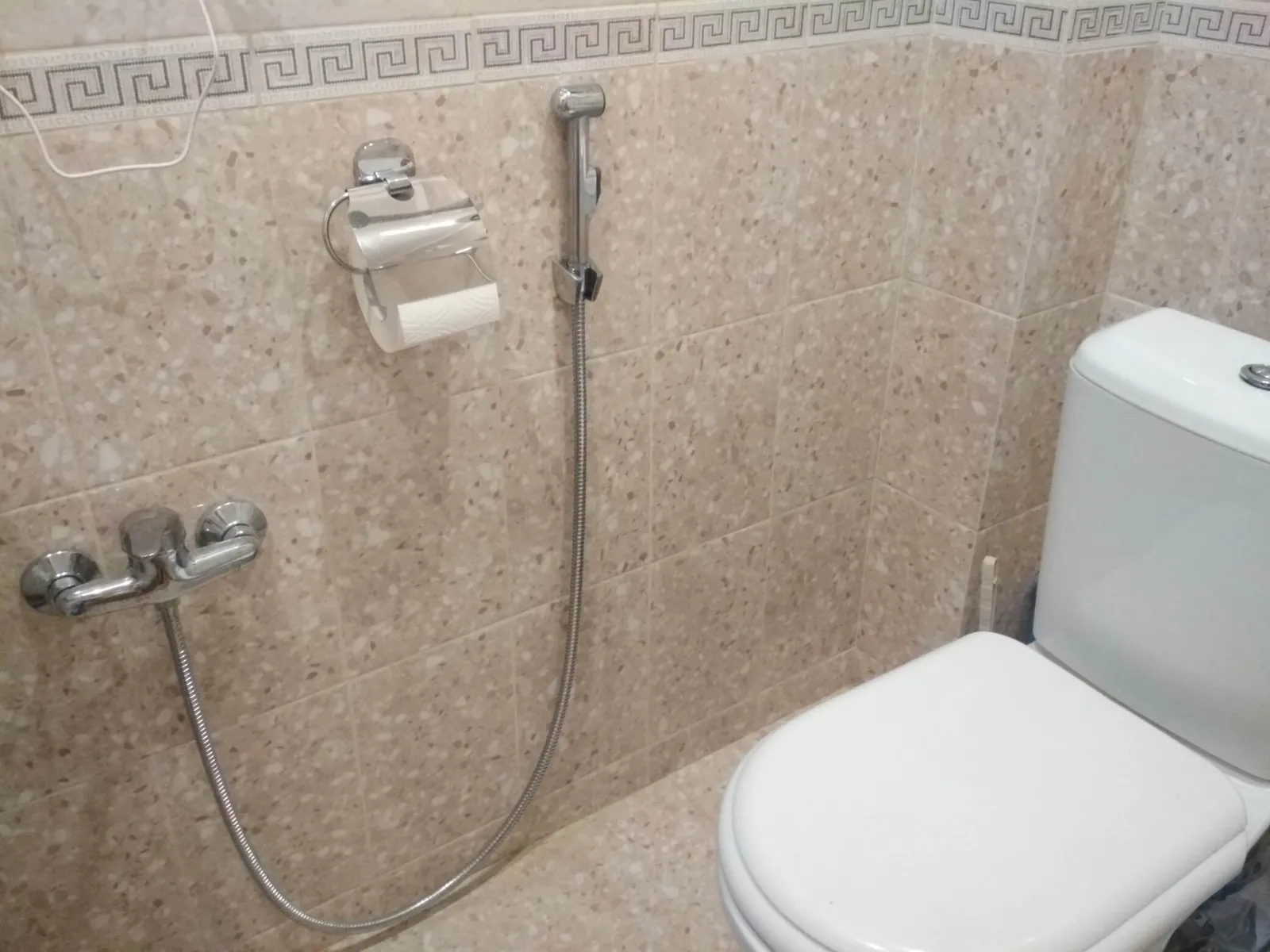 Douchette WC chromée accrochée au mur carrelé beige, à côté d'un dérouleur de papier toilette et de toilettes blanches